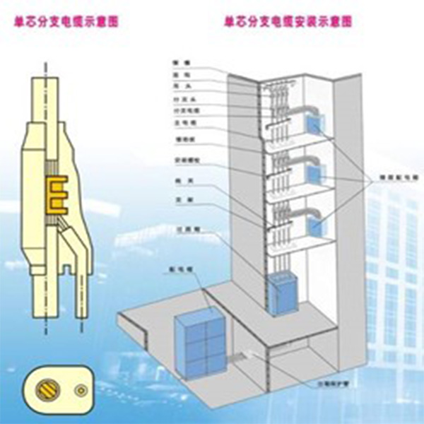 预分支电缆